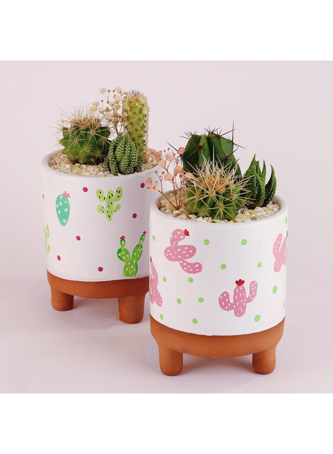 Natural Cactus Porcalin  Pot White 15x14cm