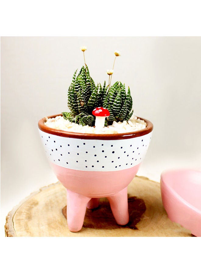 أصيص من الفخار لزراعة الصبار الطبيعي مع طبق وردي وأبيض 18x12سم
