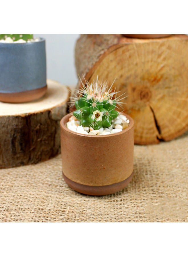 Cactus Porcalin Mini Pot Brouwn 9x5cm - v1633247856/N51198042A_1