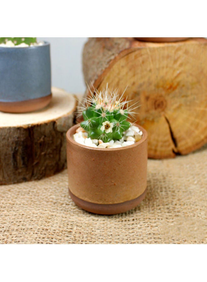 Cactus Porcalin Mini Pot Brouwn 9x5cm