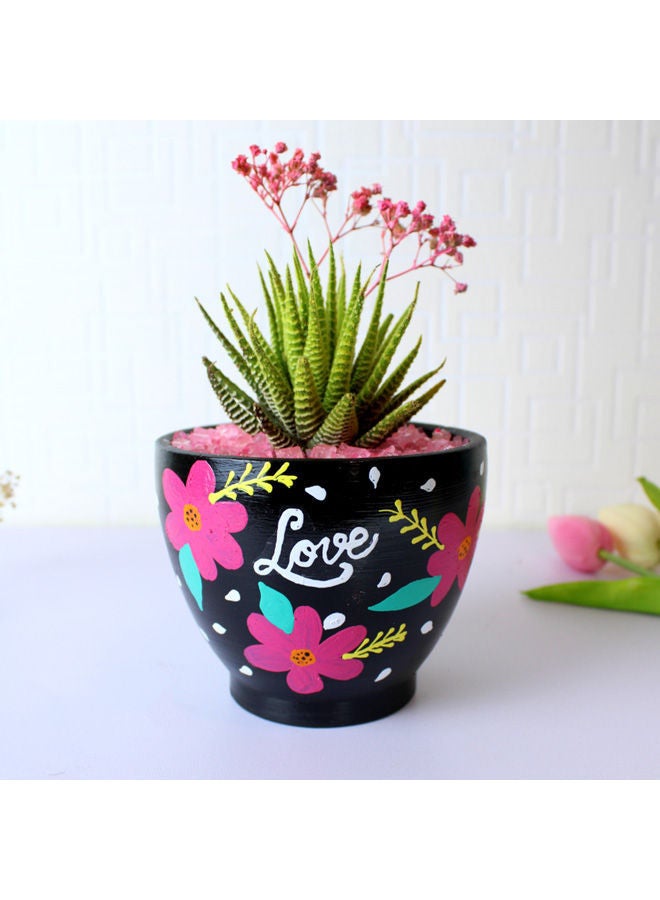 Natural Cactus Pottery Pot Black 18x11cm