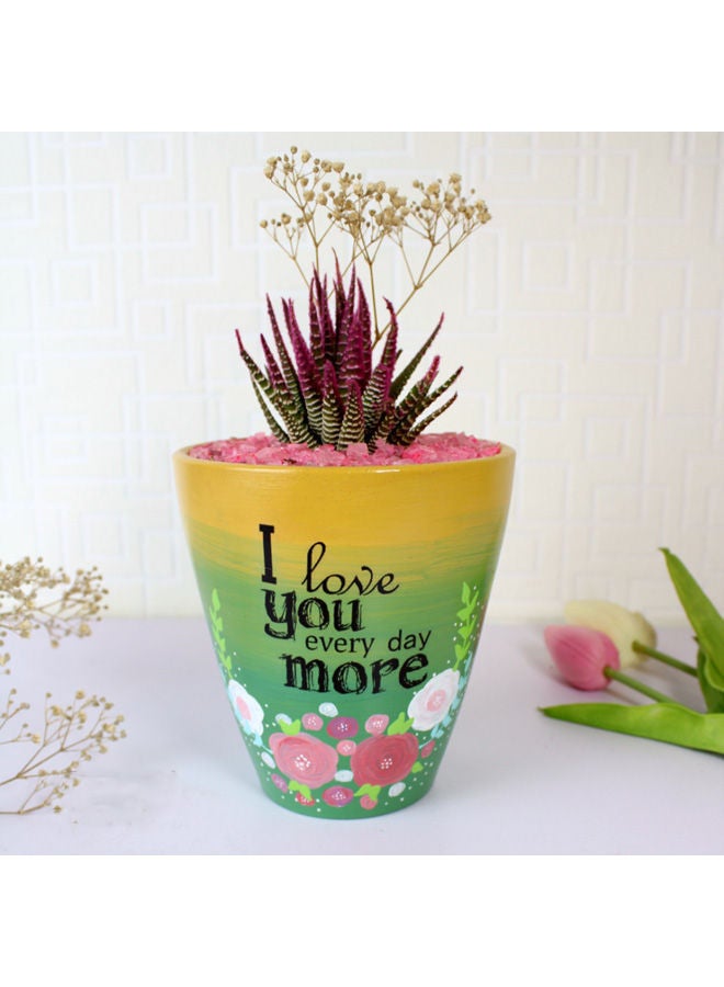 Funny Pot Natural Cactus Pottery Pot Yellow&Green 20x12cm 