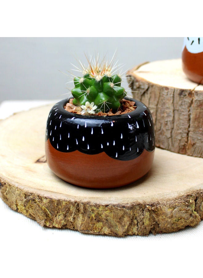 Funny Pot Cactus Pottery Pot(Donuts) Black 5x7cm 