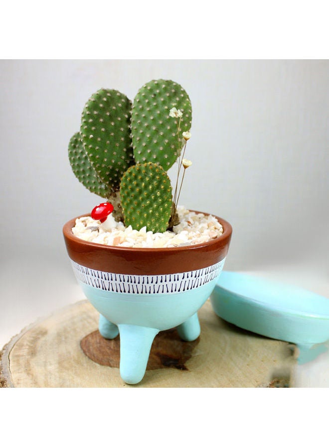 Natural Cactus Pottery Pot+Plate Blue&White 18x12cm