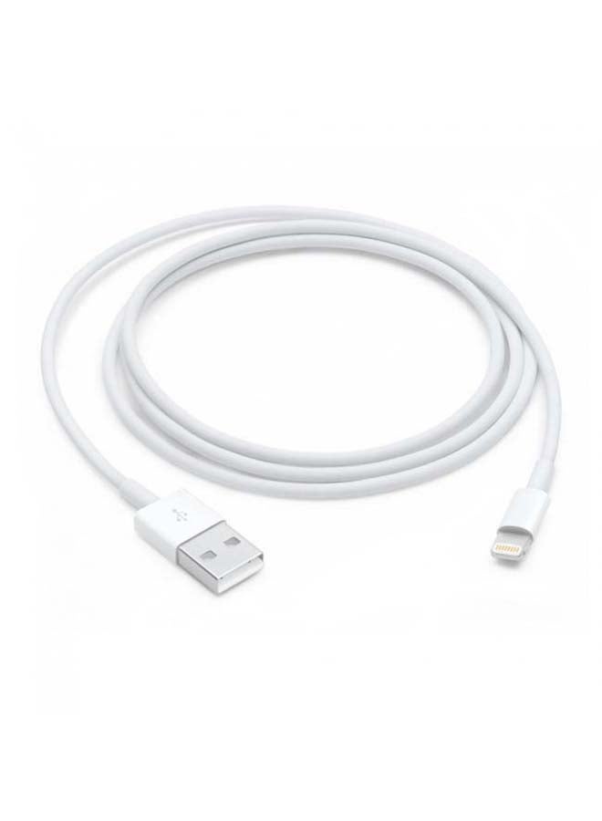 Apple 2 In 1 Pack Of Lightning USB Cable 1m And EarPods With 3.5mm Headphone Plug  - Image 2