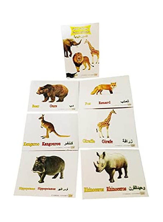 Implicit Cards From A Set Of Jungle Animals