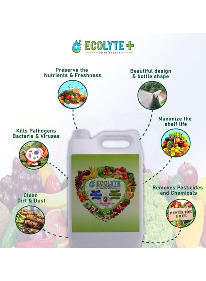 ECOLYTE+ - Fruits And Vegetables Disinfectant Clear 5Liters - Image 1