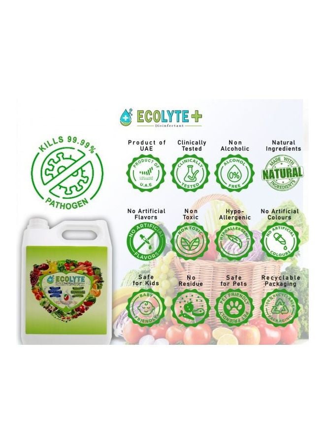 ECOLYTE+ - Fruits And Vegetables Disinfectant Clear 5Liters - Image 1