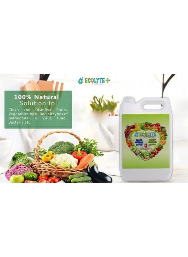 ECOLYTE+ - Fruits And Vegetables Disinfectant Clear 5Liters - Image 1