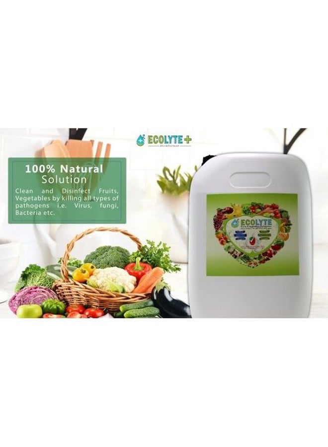 ECOLYTE+ - Fruits And Vegetables Disinfectant Clear 20Liters - Image 1