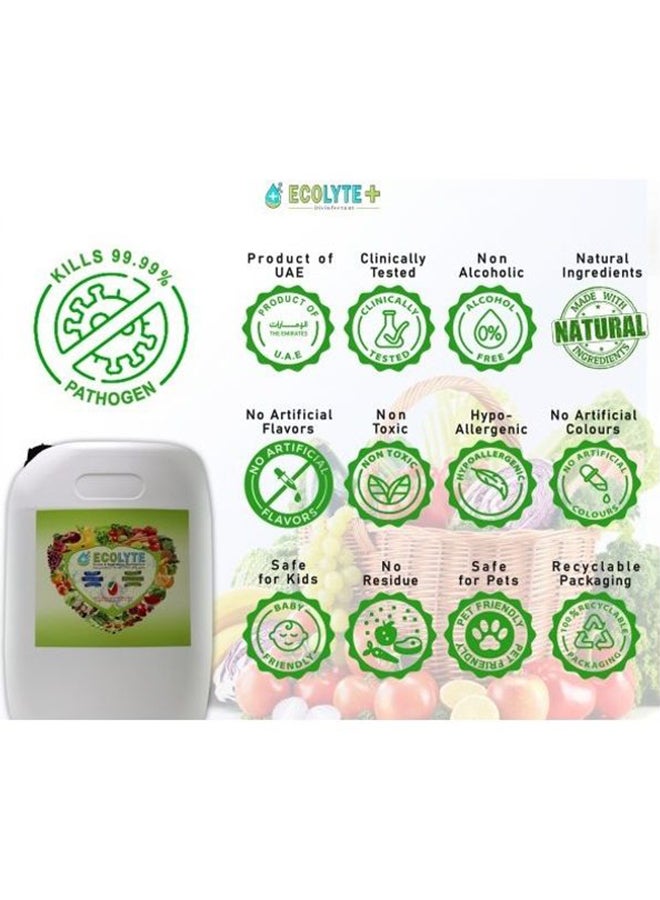 ECOLYTE+ - Fruits And Vegetables Disinfectant Clear 20Liters - Image 1