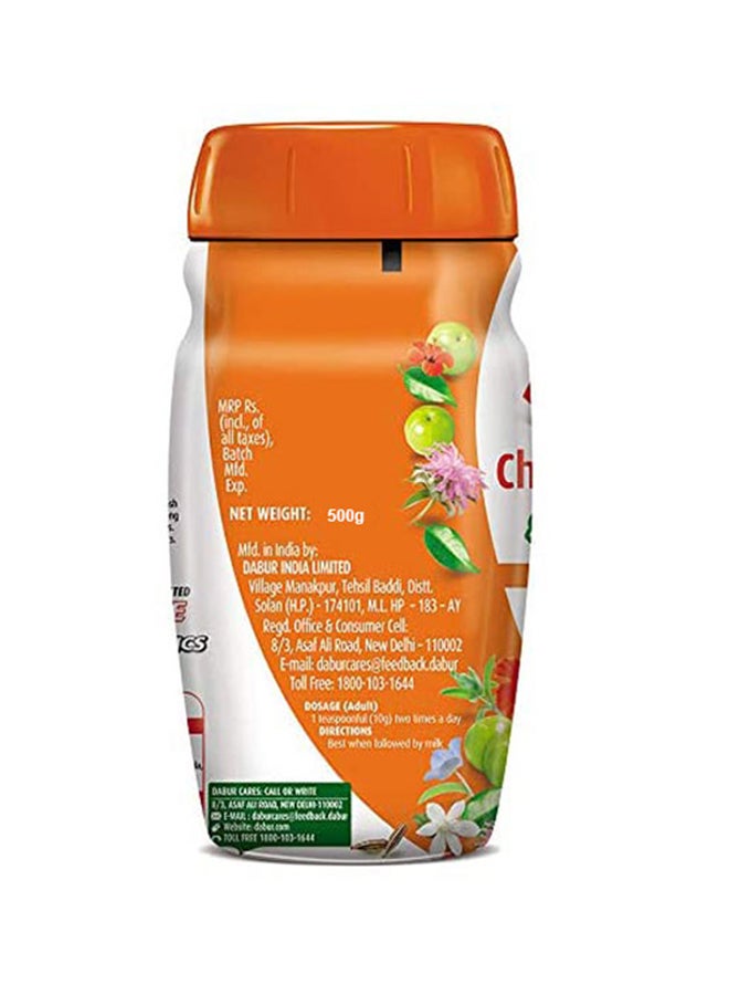 Dabur Chyawanprakash Sugar Free 500grams  - Image 2