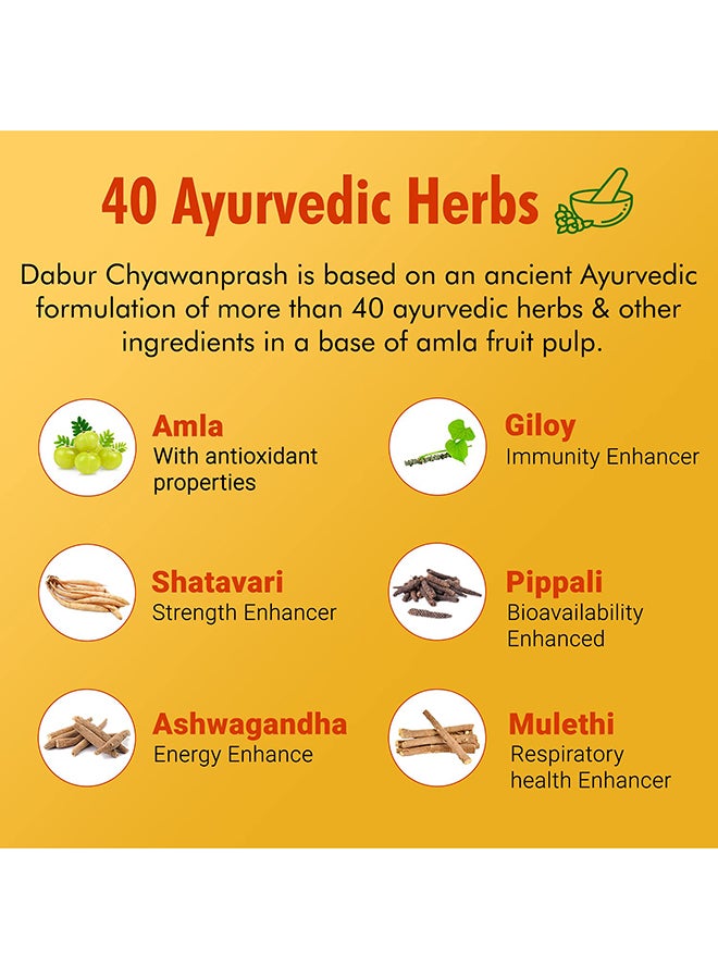 Dabur Chyawanprakash Sugar Free 500grams  - Image 4