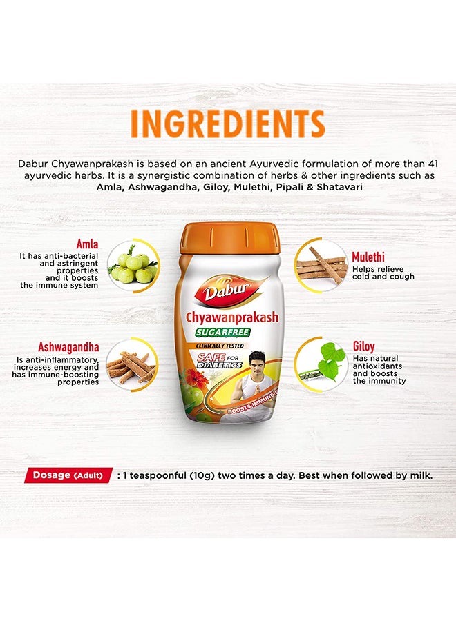 Dabur Chyawanprakash Sugar Free 500grams  - Image 3