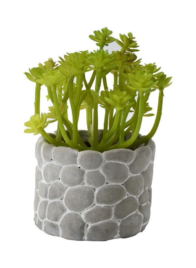 DRAMA HOME Artificial Potted Plant Green/Grey 15 x 15 x 9cm  - Image 1