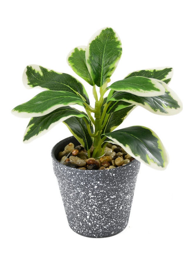 DRAMA HOME 2-Piece Artificial Potted Plant Multicolour 18 x 18 x 9cm  - Image 2