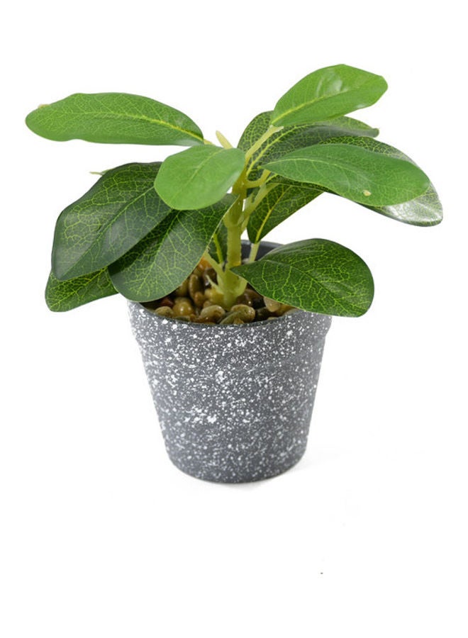 DRAMA HOME 2-Piece Artificial Potted Plant Multicolour 18 x 18 x 9cm  - Image 3