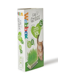 Webbox Cat Grass 120grams  - Image 2