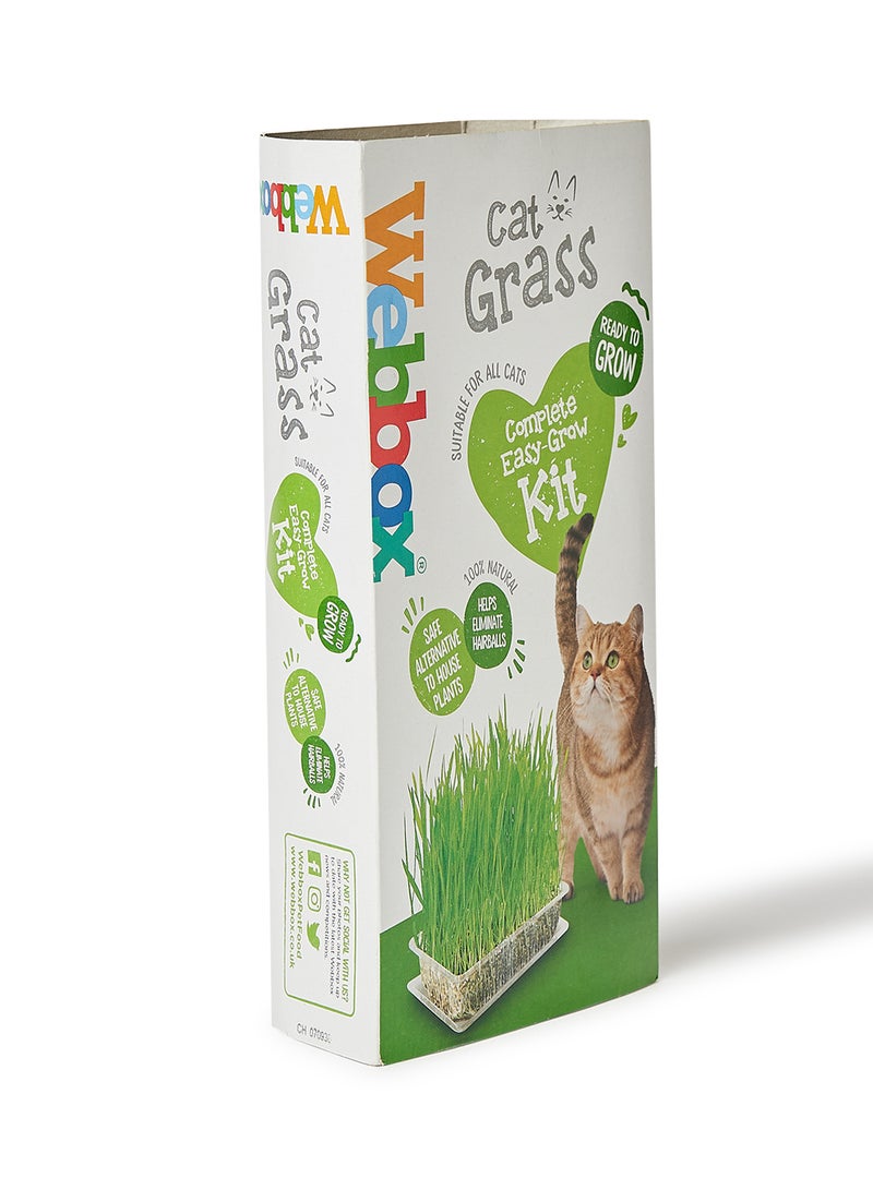 Webbox - Cat Grass 120grams - Image 1