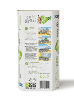 Webbox Cat Grass 120grams  - Image 3