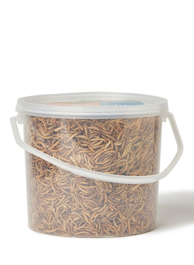 Pado Mealworms 800grams - v1634037711/N49482538A_2