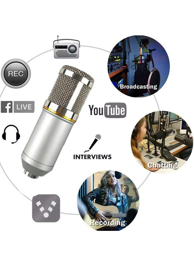 Arabest Professional Condenser Microphone Bundle Set Grey  - Image 2