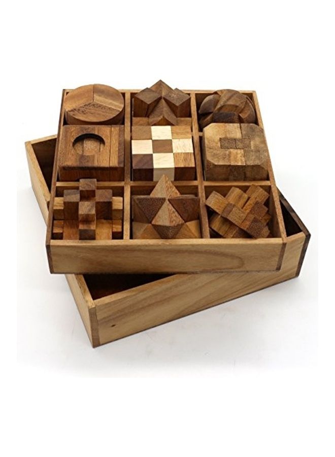 Pack Of 9 Brain Teasers And Educational Games 3D Wooden Puzzle 7inch - Image 4