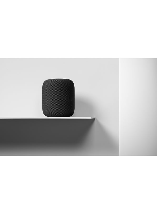 Apple - HomePod Smart Speaker Space Gray - Image 1
