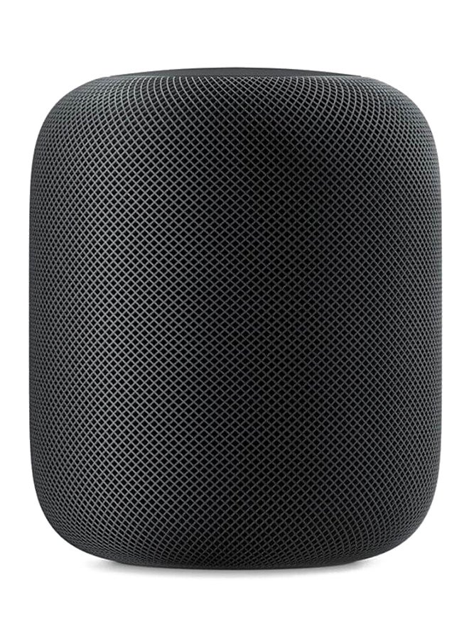 Apple - HomePod Smart Speaker Space Gray - Image 1