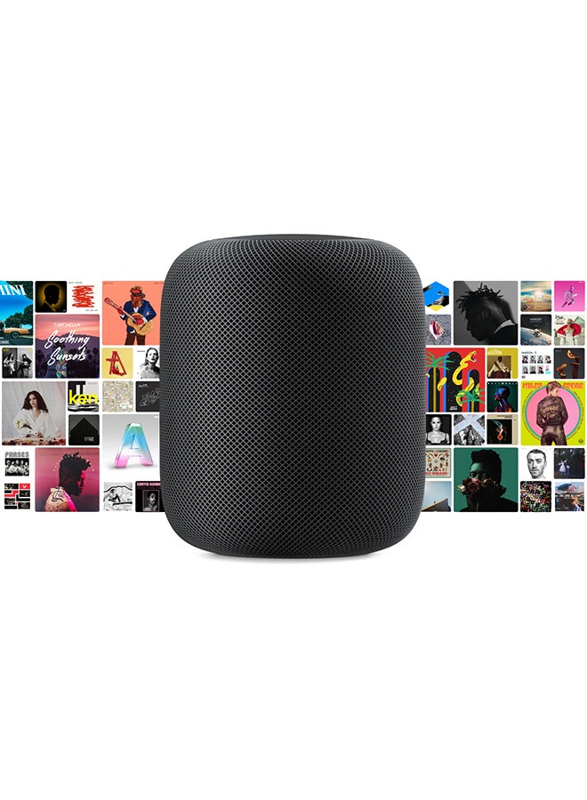 Apple - HomePod Smart Speaker Space Gray - Image 1