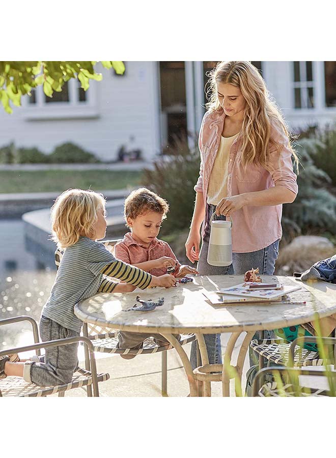 BOSE - Portable Smart Speaker, Water-Resistant Design With 360° Sound Bluetooth Wi-Fi And Airplay 2 Triple Luxe Silver - Image 1