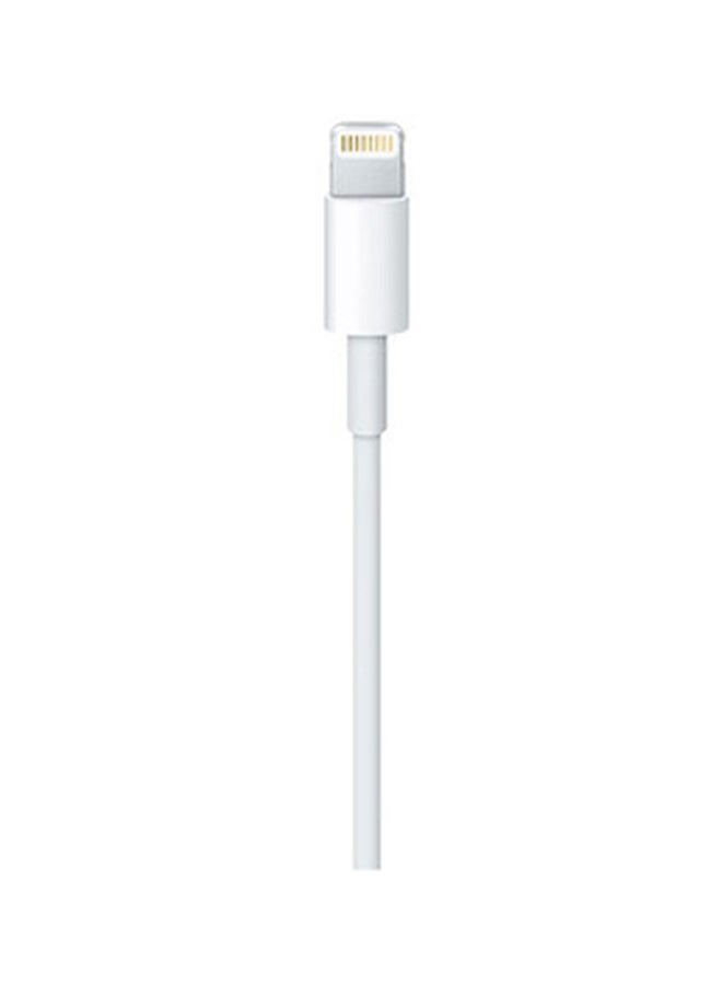 Lightning To USB Cable 1 M White - v1634621986/N20368053A_3