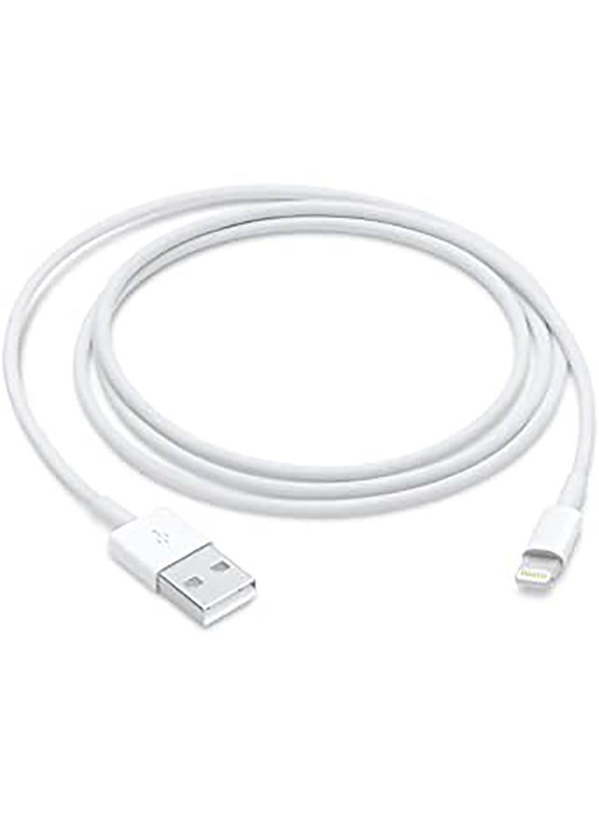 Lightning to USB Cable (1 m) White 