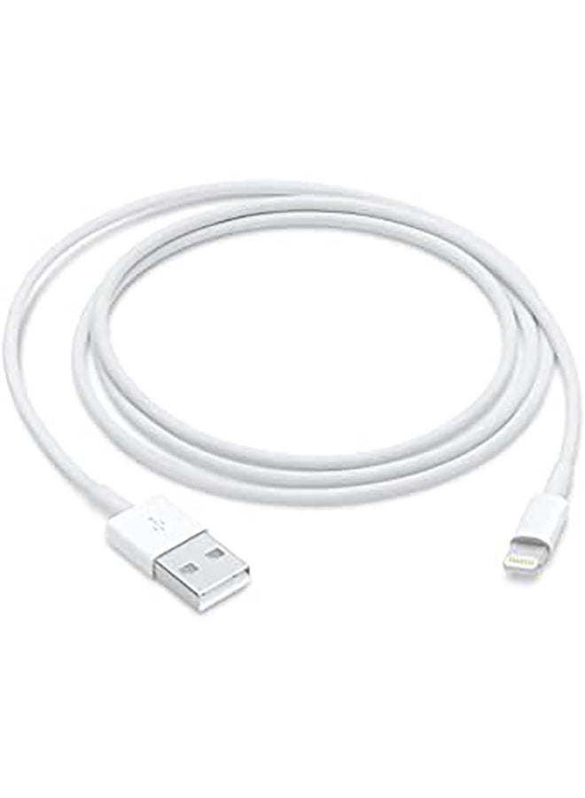 Lightning To USB Cable 1 M White - v1634621988/N20368053A_6