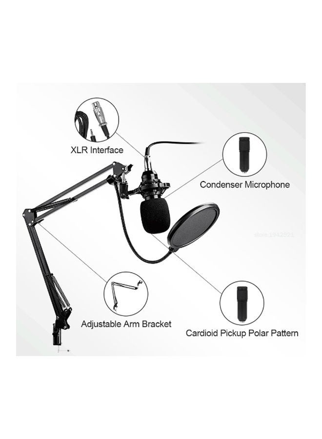 Arabest - 13-Piece Multifunctional Professional Live V8 Sound Card Microphone Set PSM-Mic02-BM800 Muticolour - Image 1