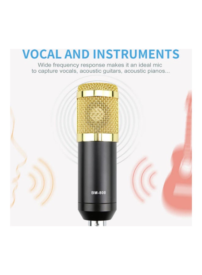 Arabest - Sound Card Microphone Recording Set PSM-MMic010 Muticolour - Image 1
