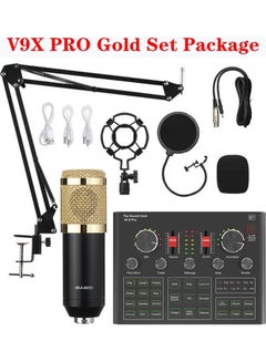 Studio Recording Professional Sound Card Microphone Set PSM-Mic07 Muticolour