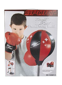 Punching Ball With Boxing Gloves - v1634718952/N51467801A_1