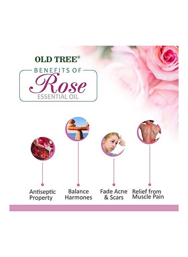 Old Tree - Rose Otto Essential Oil 15ml - Image 1
