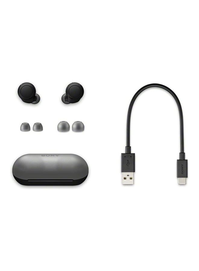 Sony - WF-C500 Truly Wireless In-Ear Bluetooth EarBud Headphones With Mic And IPX4 Water Resistance Black - Image 1