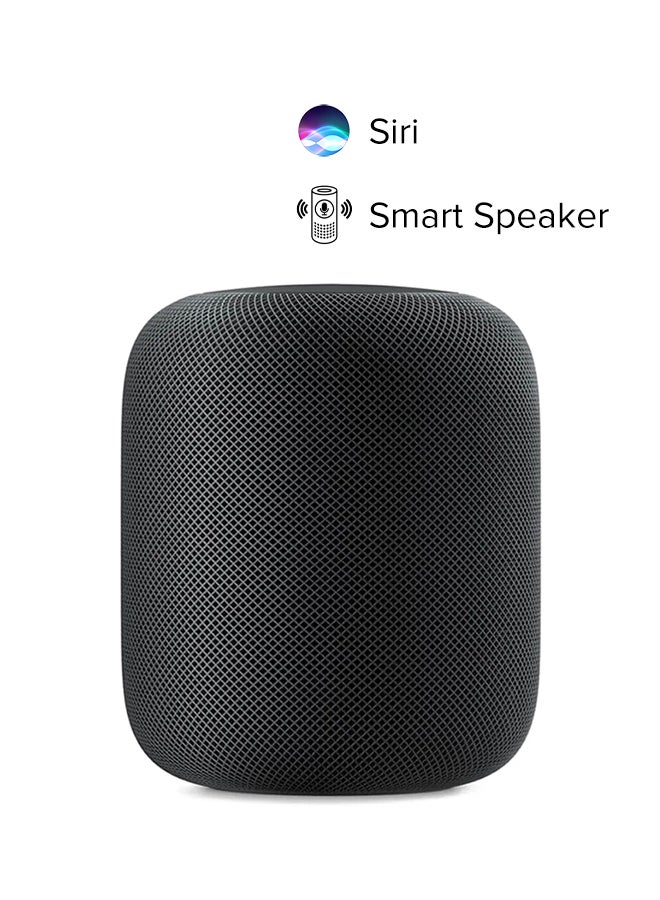 Apple - HomePod Smart Speaker Space Gray - Image 1