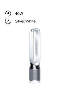 Silver/White