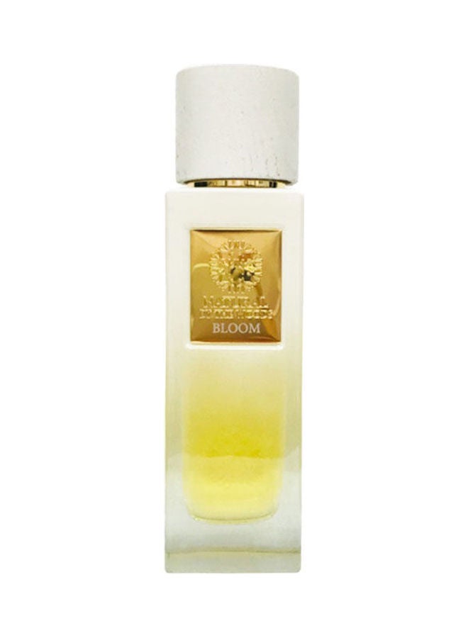 THE WOODS COLLECTION By Natural Bloom EDP 100ml
