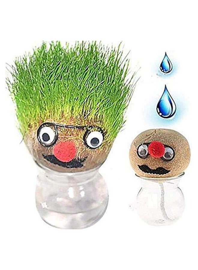 Generic - Growing Grass Head Grow For Small Time Indoor Plant 13x9cm - Image 1