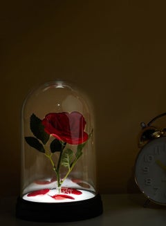 Enchanted Rose Light Multicolor OS