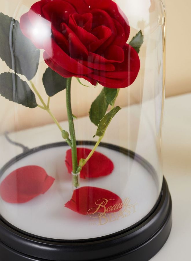 Paladone - Enchanted Rose Light Multicolor OS - Image 1