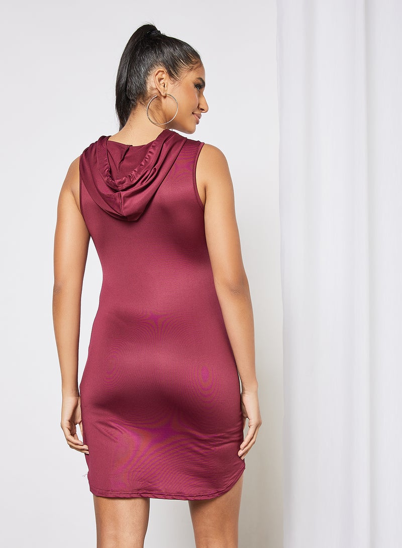 Aila - Women's Polyester Blend Sleeveless Mini Knitted Dress With Hooded Neck Plum - Image 1