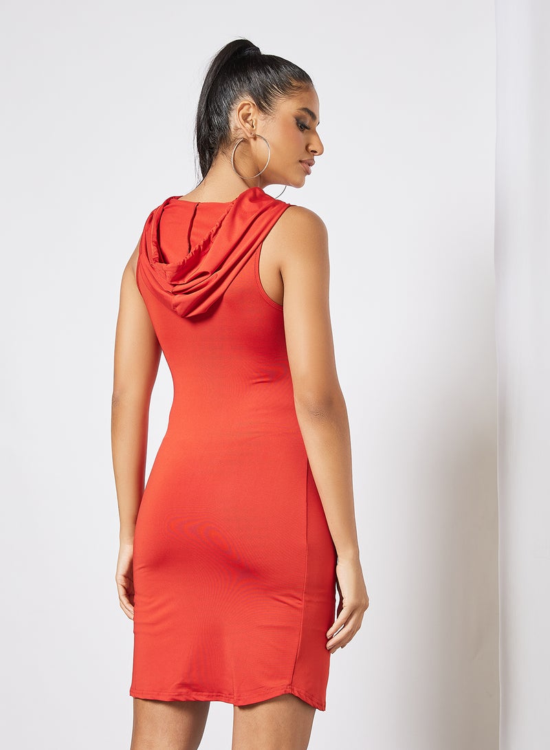 Aila - Women's Polyester Blend Sleeveless Mini Knitted Dress With Hooded Neck Rusty - Image 1