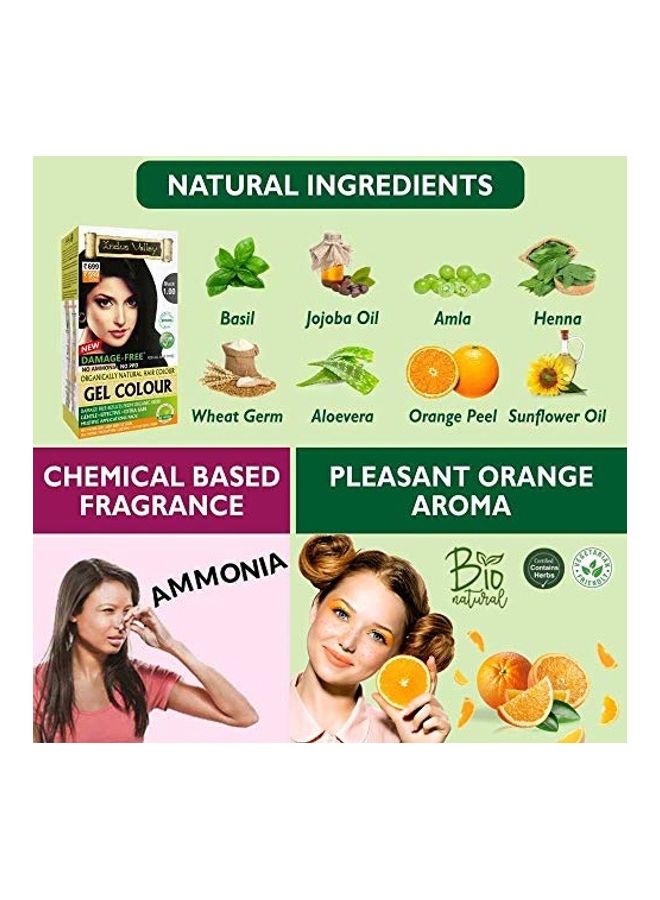 Indus Valley Natural Hair Color Gel Black  - Image 4