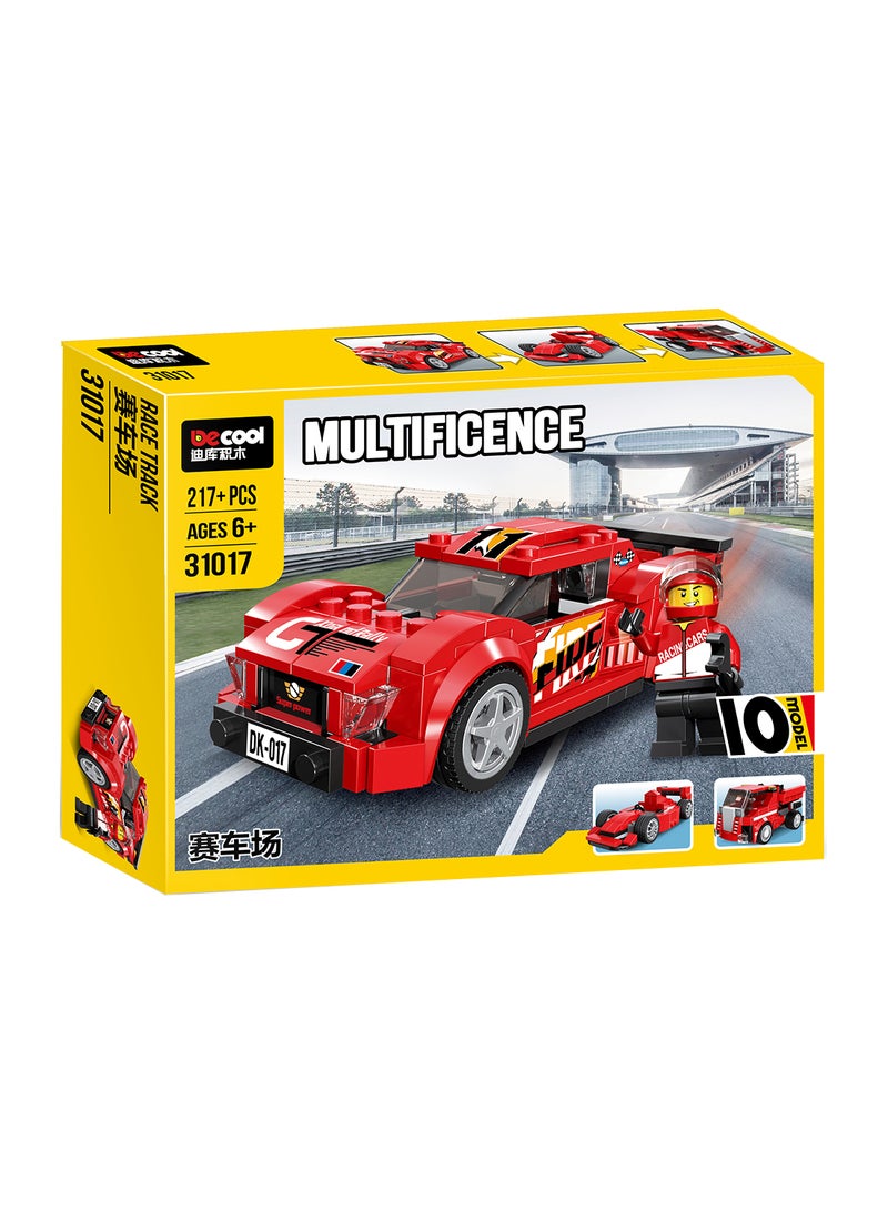 217+ Pieces Race Track (10 Model)